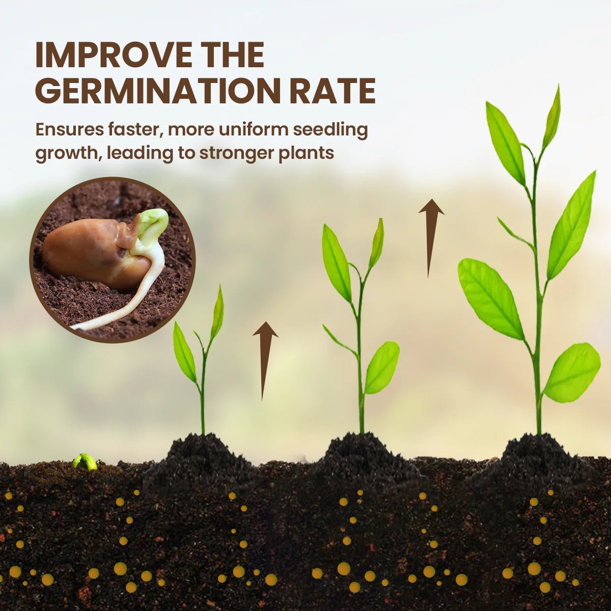 š„Summer promotionš„-Soil Pro Activator