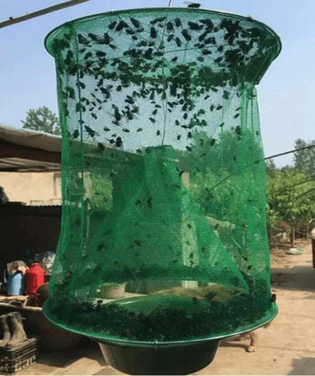 🔥Summer Sale-Fast Fly Catcher- 100% Non Toxic- Reusable