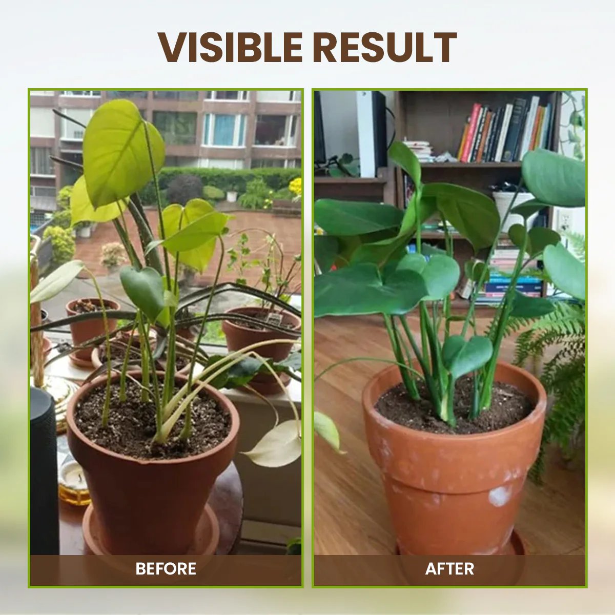 š„Summer promotionš„-Soil Pro Activator