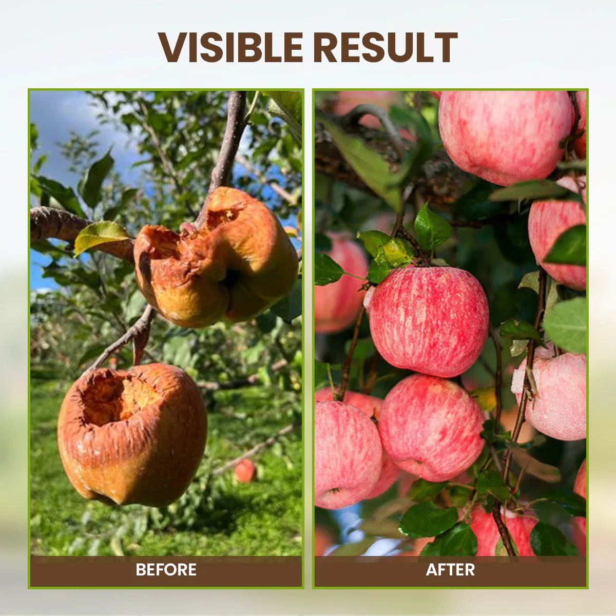 š„Seasonal promotionš„-Soil Pro Activator