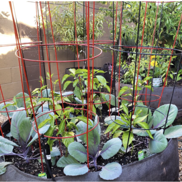 🔥Last Day Promotion 49% OFF🔥Garden Raised Planting Bed
