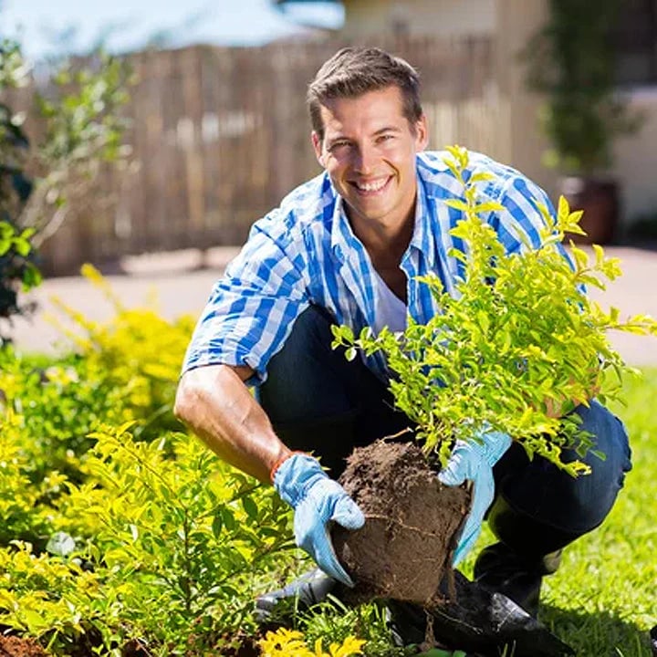 š„Summer promotionš„-Soil Pro Activator