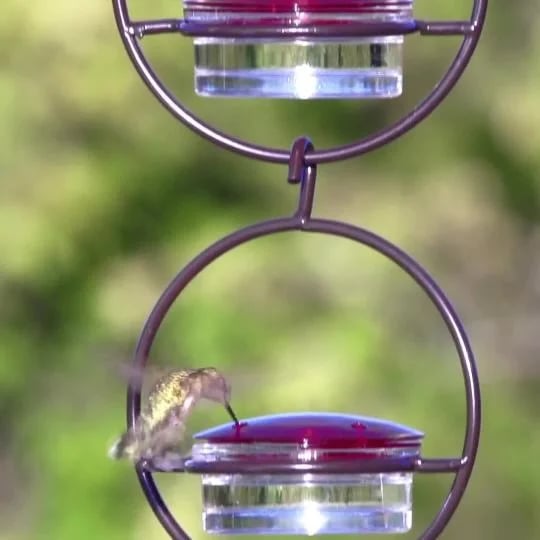 🎉Slim Hummingbird Feeder🐦