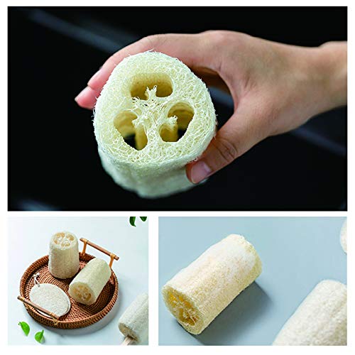 🌿Natural Loofah Sponge – Pure, Eco-Friendly & Multi-Purpose🌱