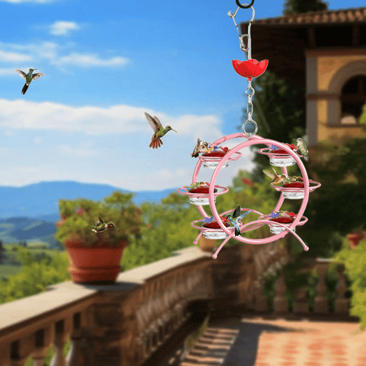 💖Hot sale ✨Hummingbird Feeder