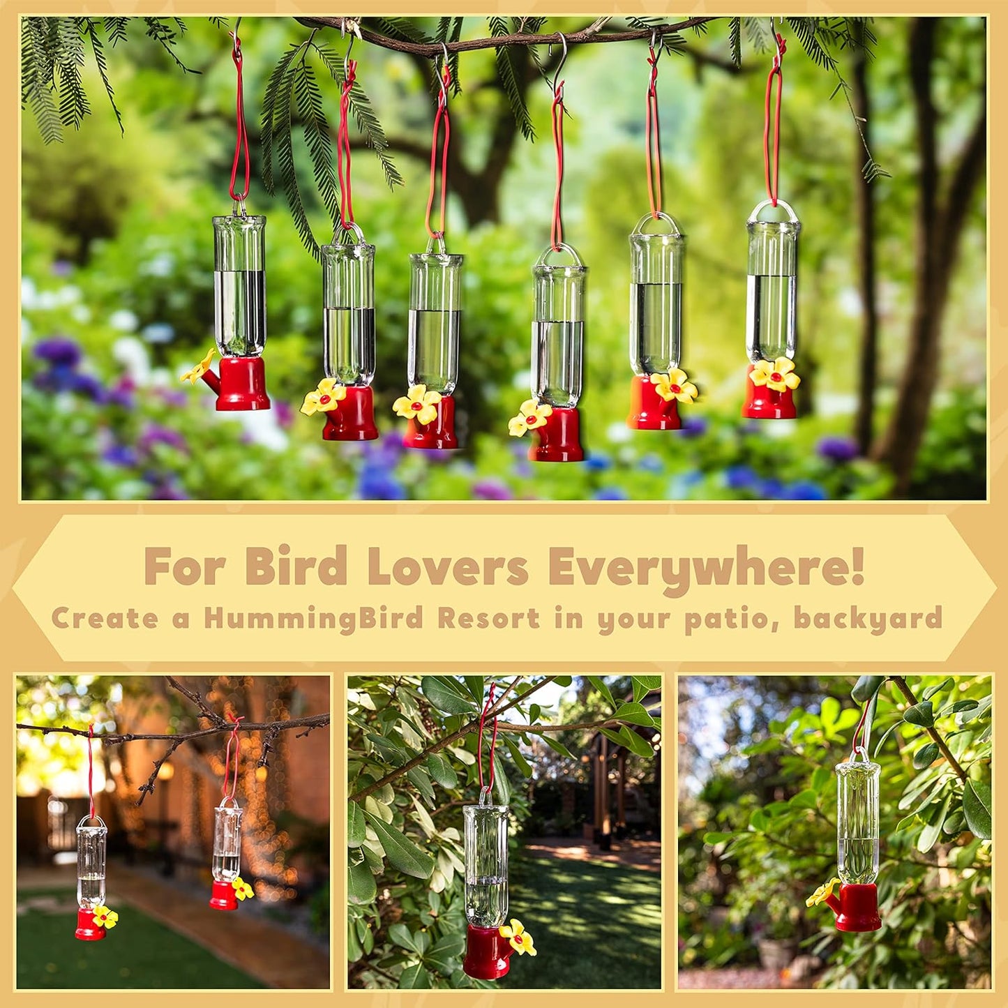 🐦✨Hummingbird Feeders for Outdoors Hanging❤️✨