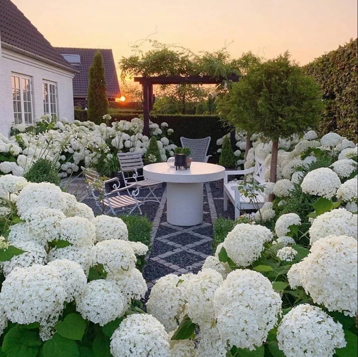 💥Hot Sale-50% OFF💥Artificial Hydrangea Flowers💐