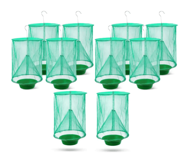 🔥Summer Sale-Fast  Fly Catcher- 100% Non Toxic- Reusable